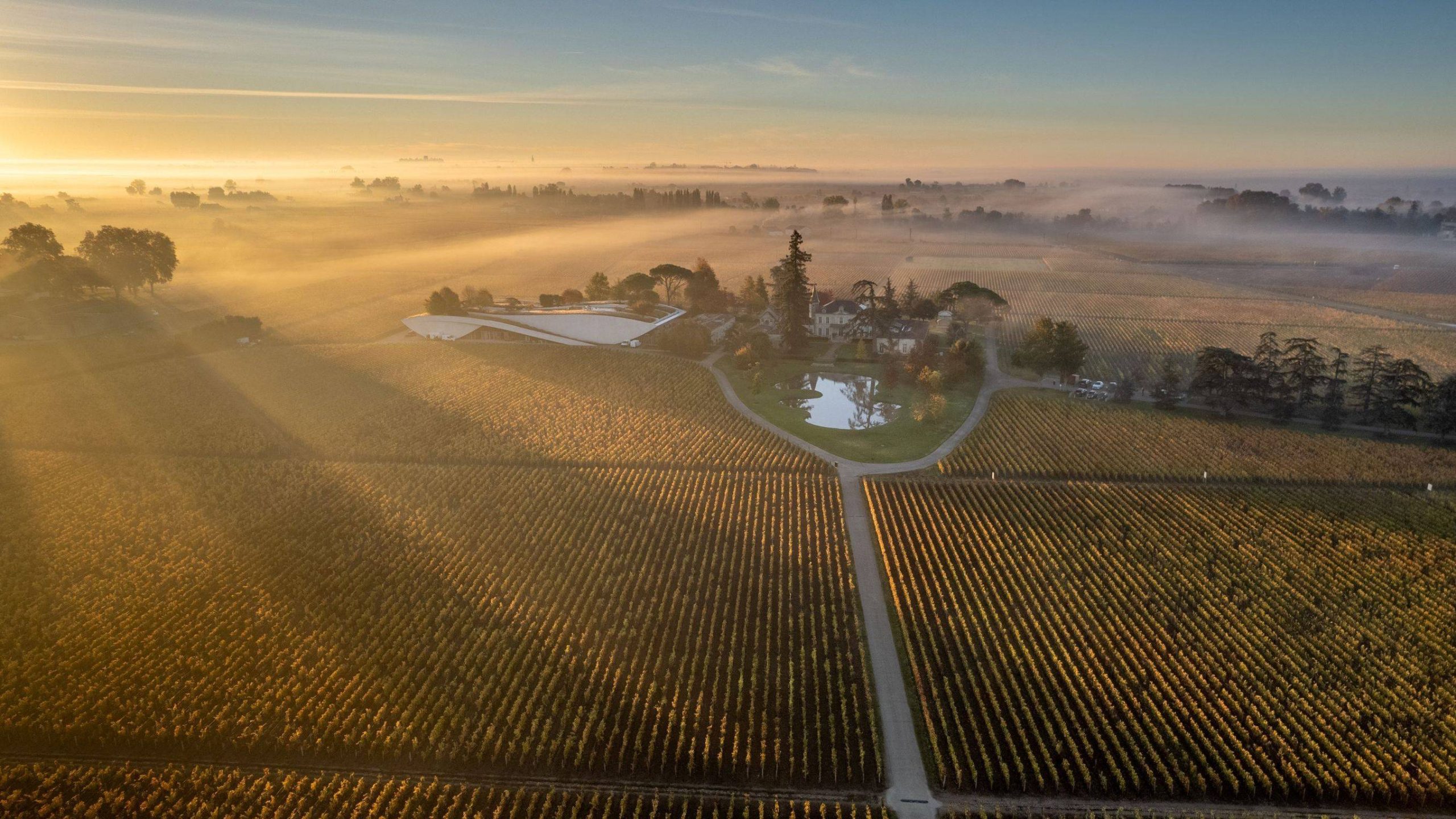 Château Cheval blanc