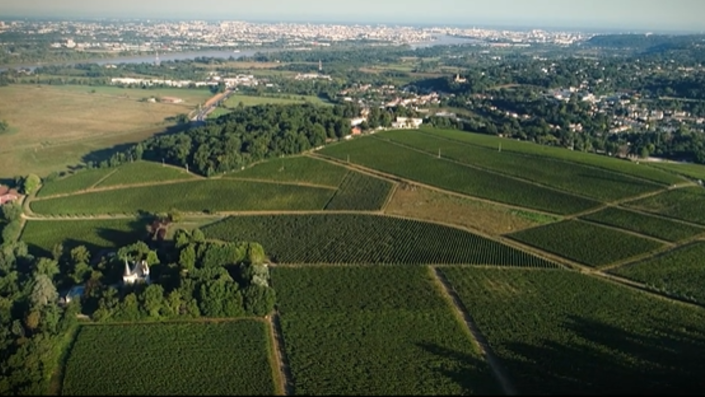Château Latour Camblanes