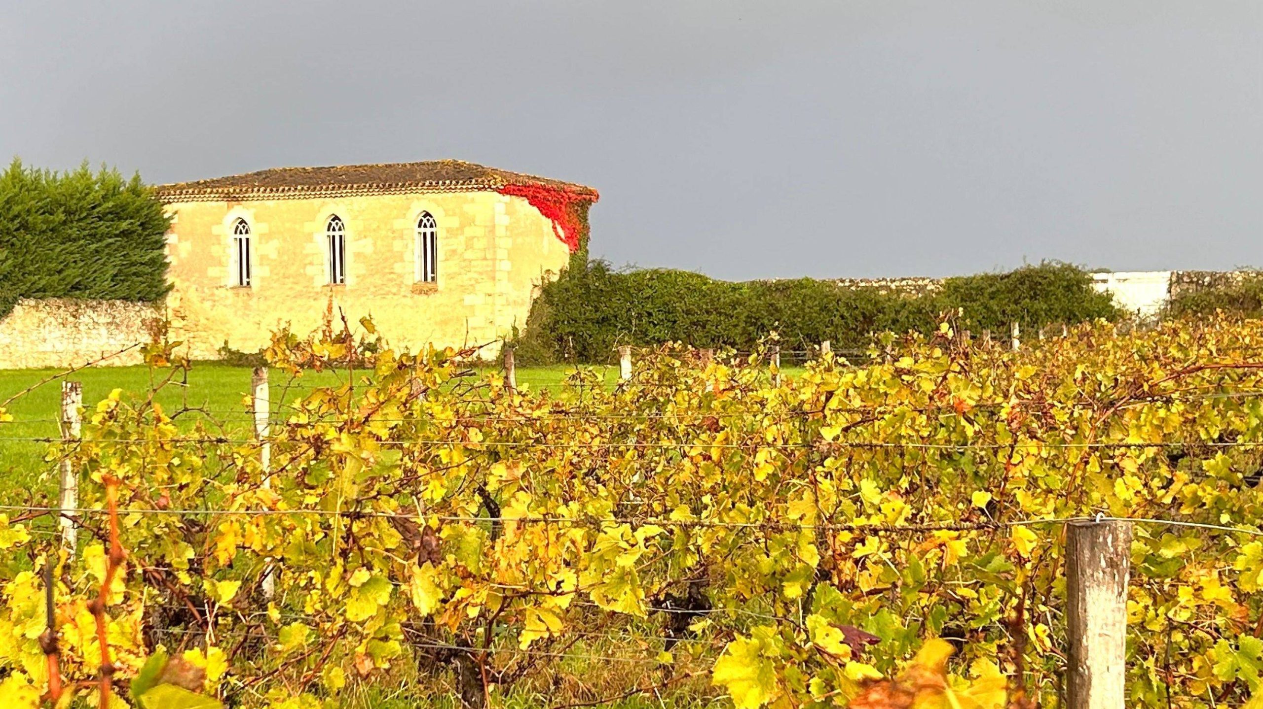 Découverte des domaines de la parrhesia
