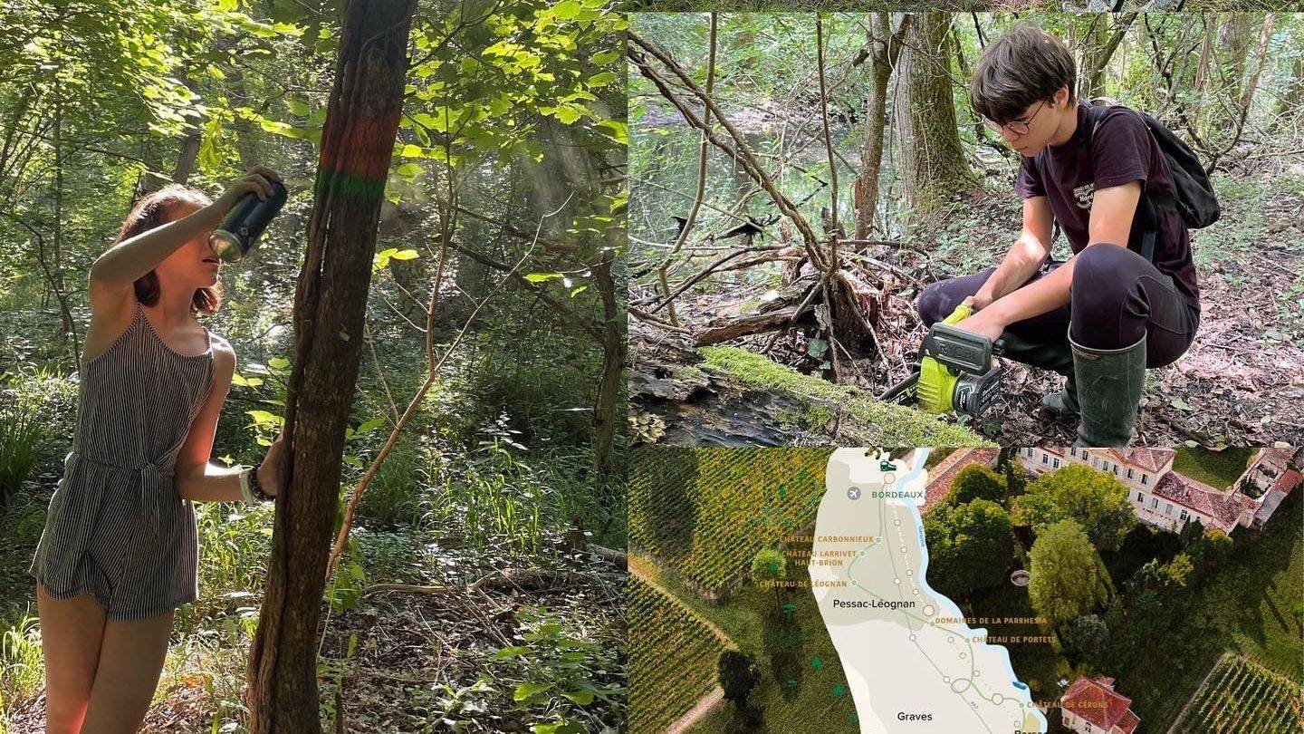 Découverte des domaines de la parrhesia