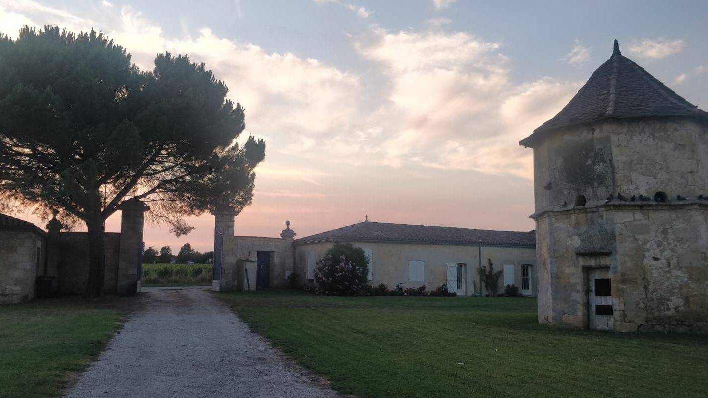 Découverte des domaines de la parrhesia