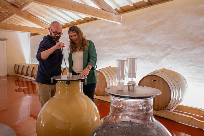 Coup de projecteur sur Delphine et Guillaume Journel : « Nous avons eu à faire et faisons encore face à un gros défi de commercialisation des vins de Bordeaux.»