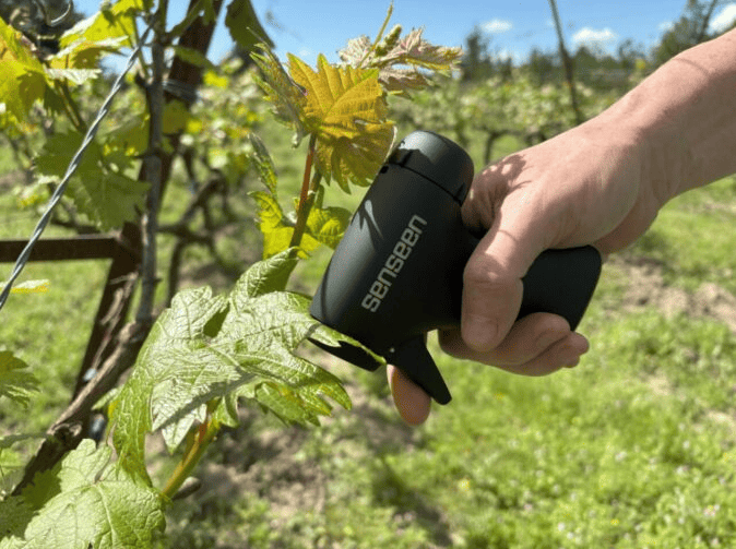 Les innovations du mois avec INNO’VIN – juin 2025