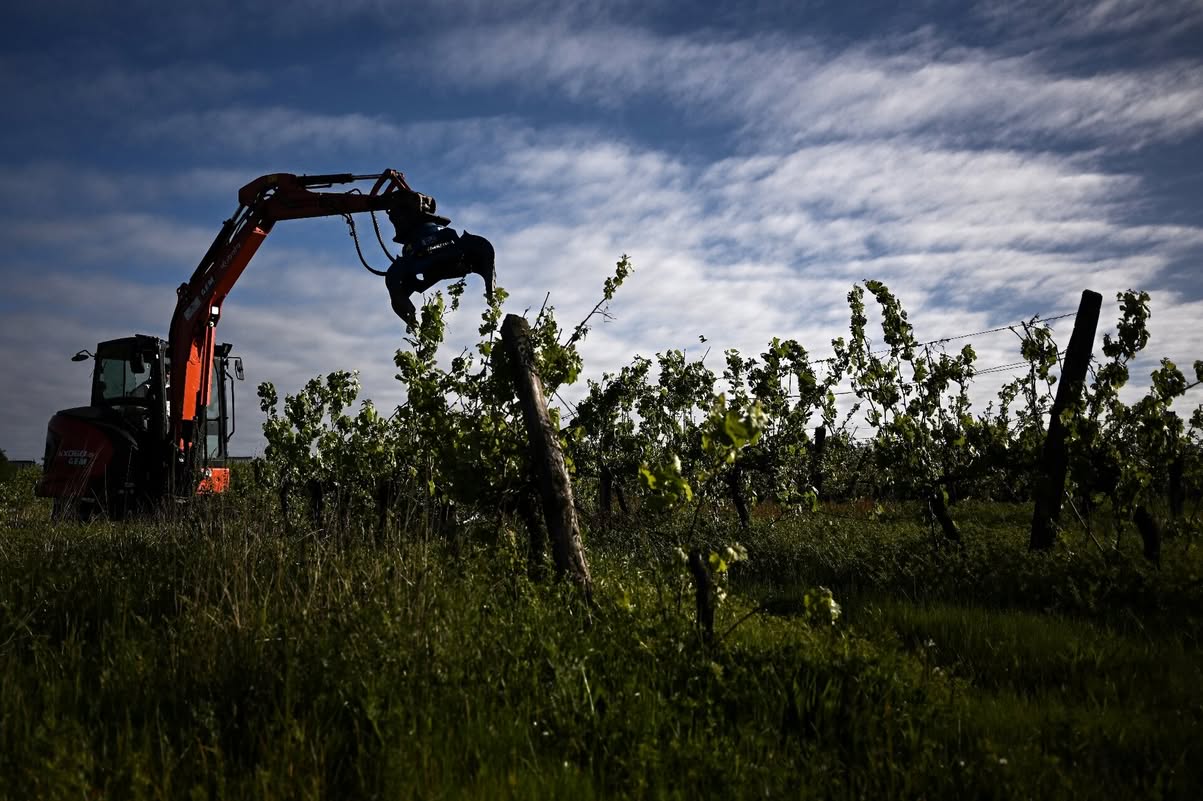 Il faut sauver le soldat Bordeaux