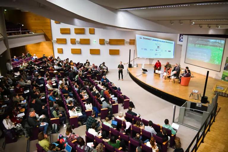 Échos de Bordeaux by Agence Fleurie – février 2026