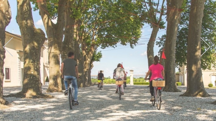 Balade ampélographique à vélo