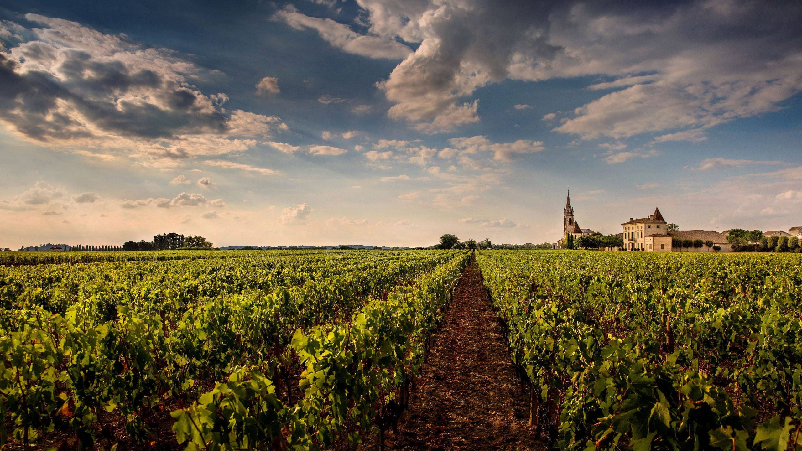 Château La Fleur-Pétrus
