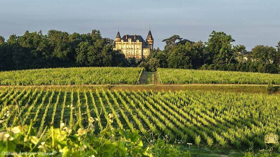 Château de Rayne Vigneau
