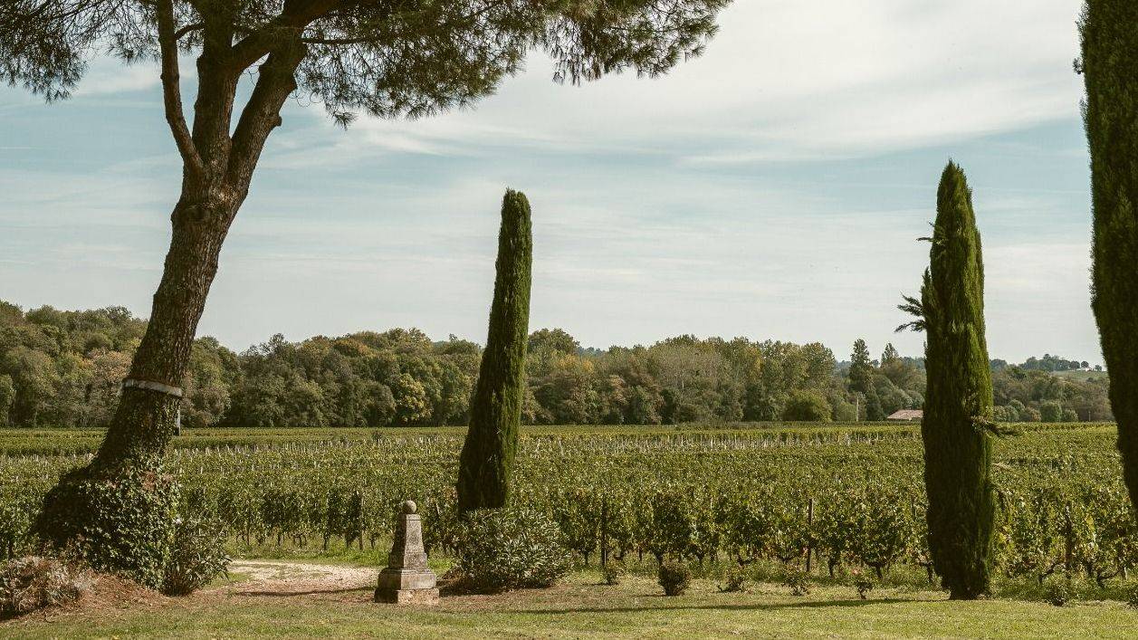Château Gazin
