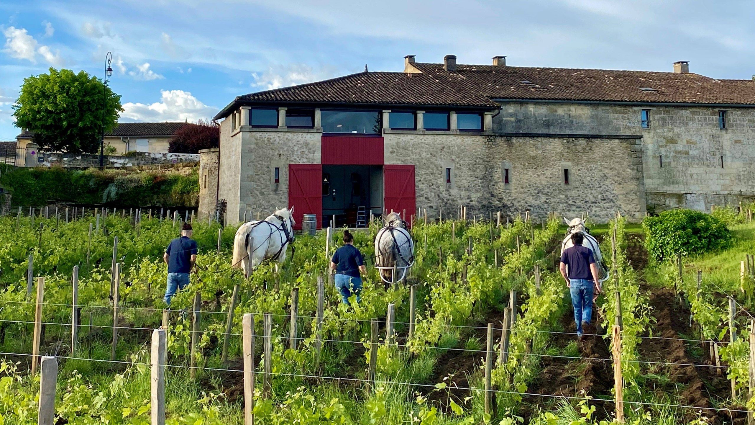 Château Cardinal-Villemaurine