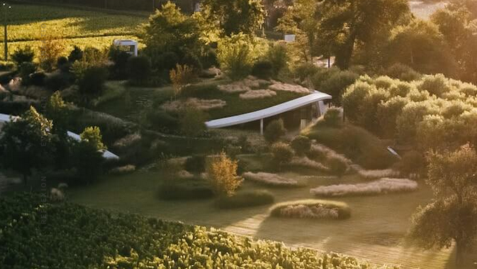 Château Haut-Bailly