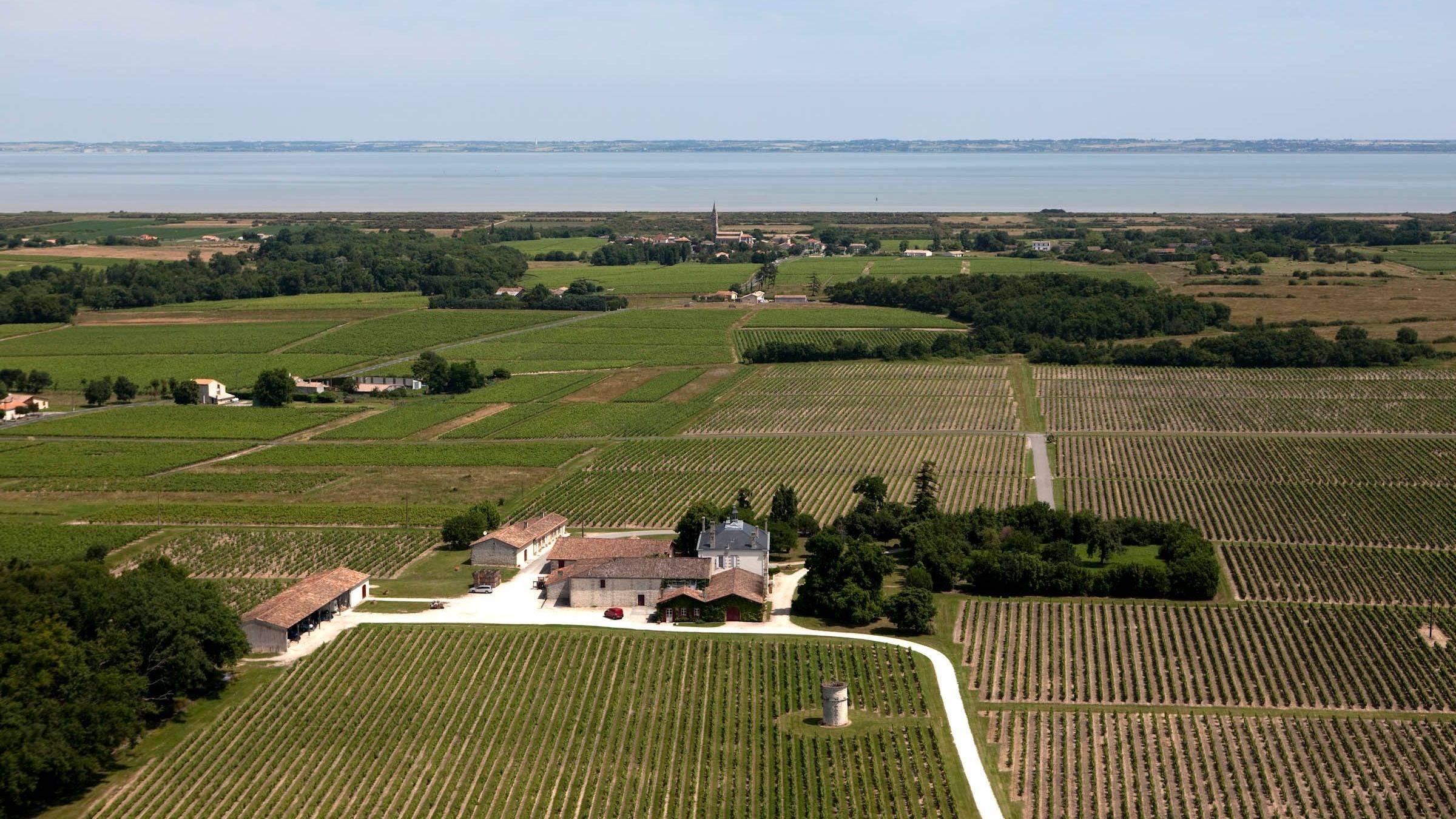 Château Le Bourdieu