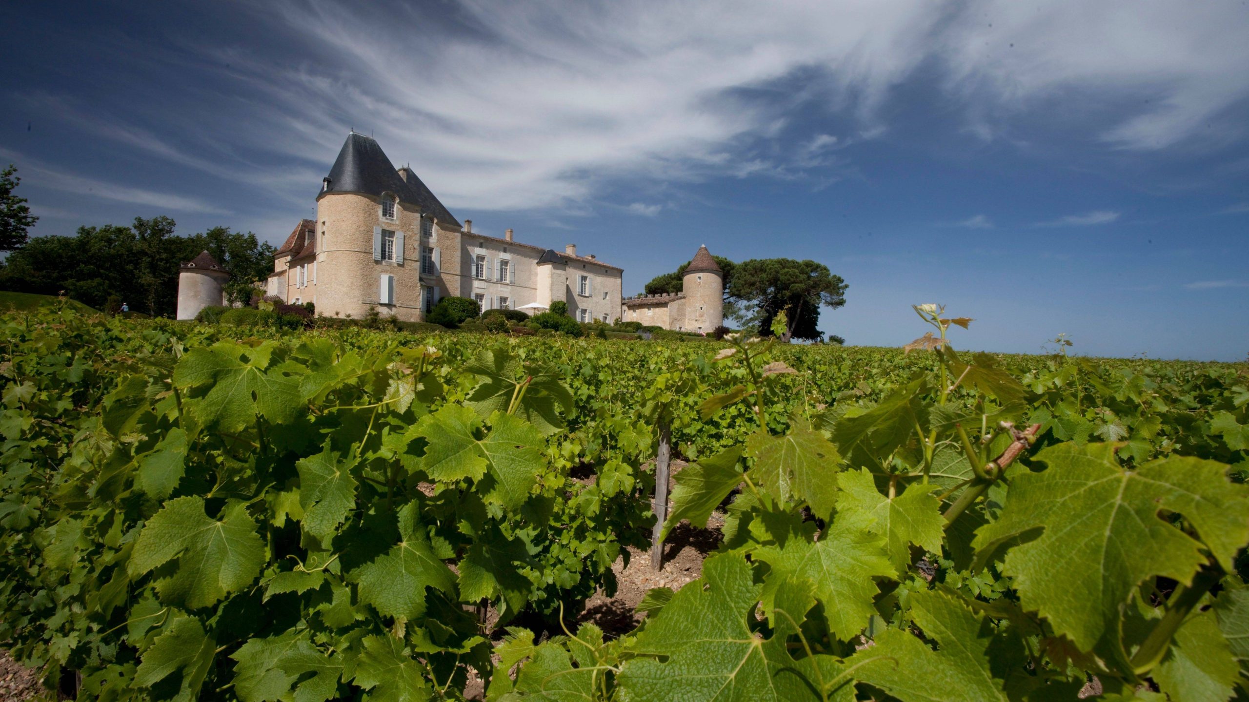 Château d&rsquo;Yquem