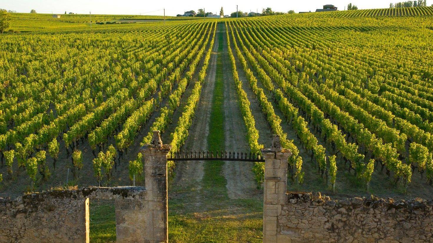 Clos Haut-Peyraguey
