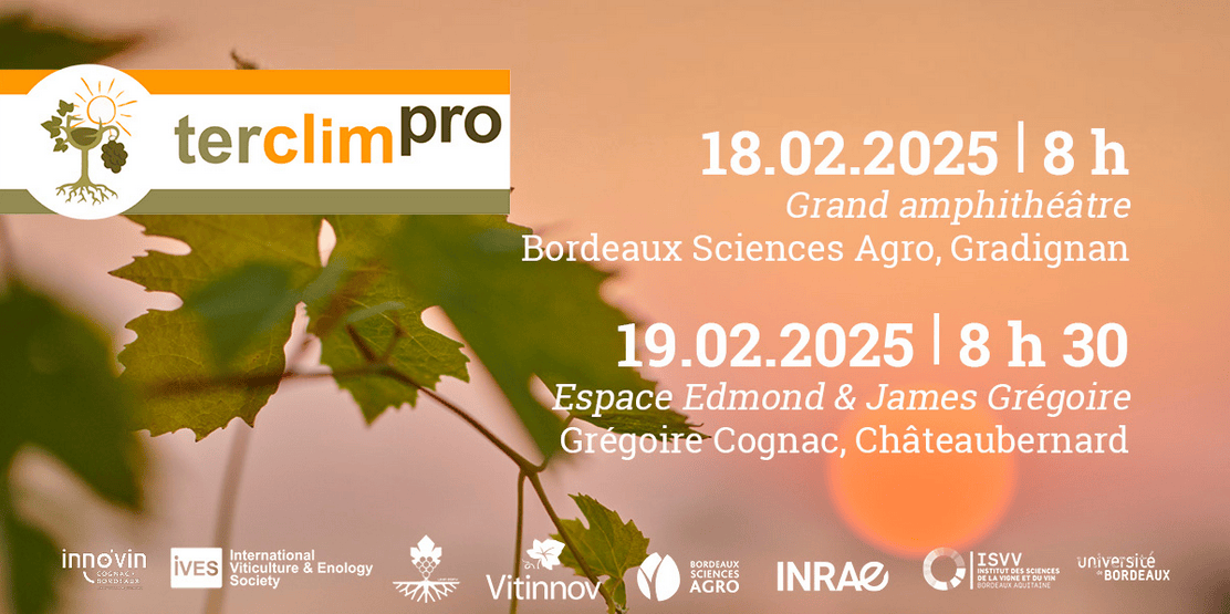 Les innovations du mois avec INNO’VIN