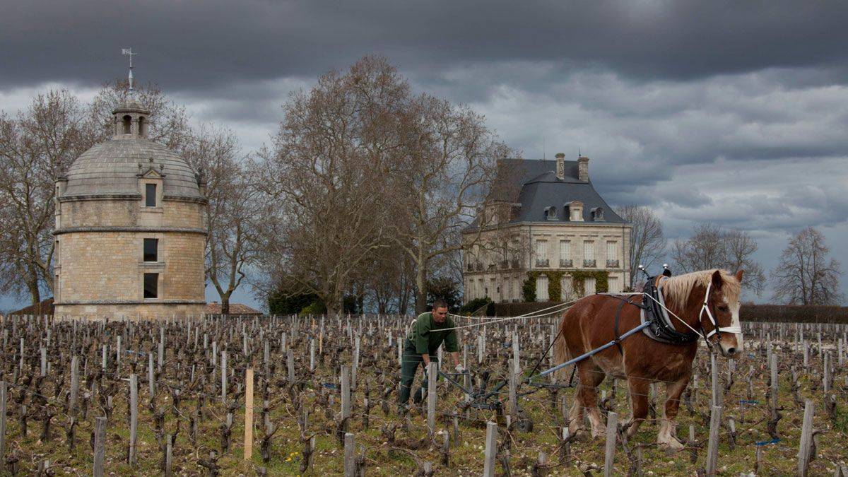 Château Latour