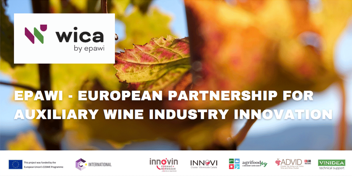 Les innovations du mois avec INNO’VIN