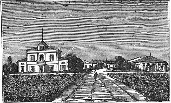 La vie tumultueuse des châteaux du Bordelais : de l’excellent millésime 1937 au magnifique millésime de la Victoire