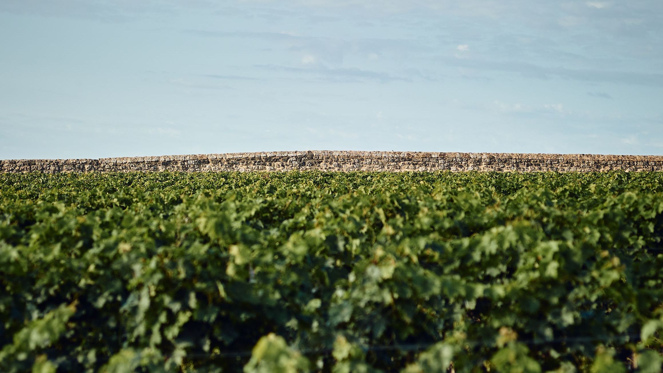 Clos du Marquis