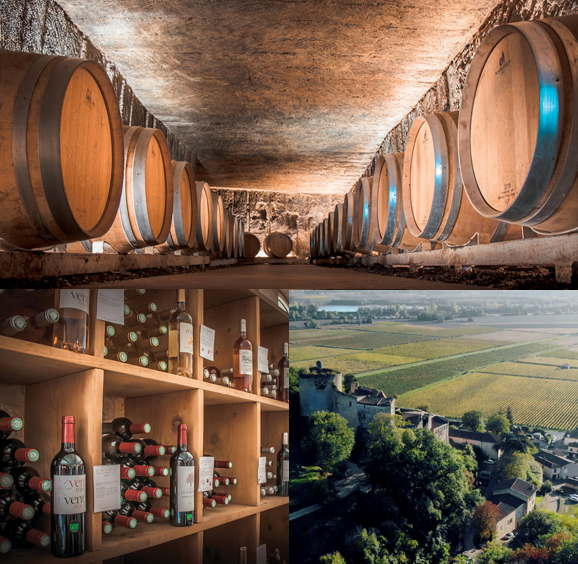 Visite de nos Vignobles