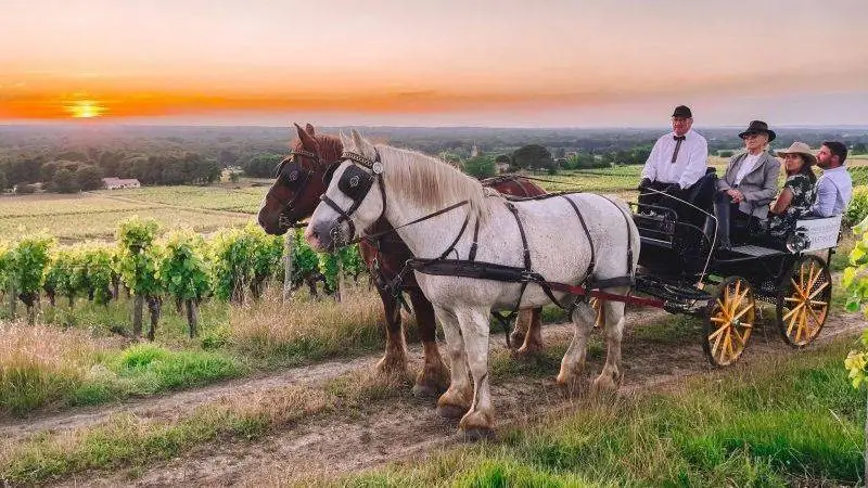 Coucher de soleil en calèche