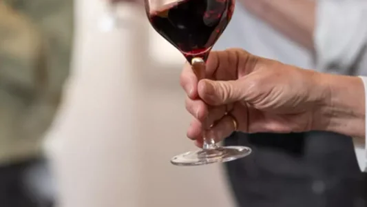 Dégustation