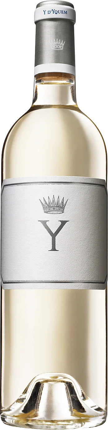 Y