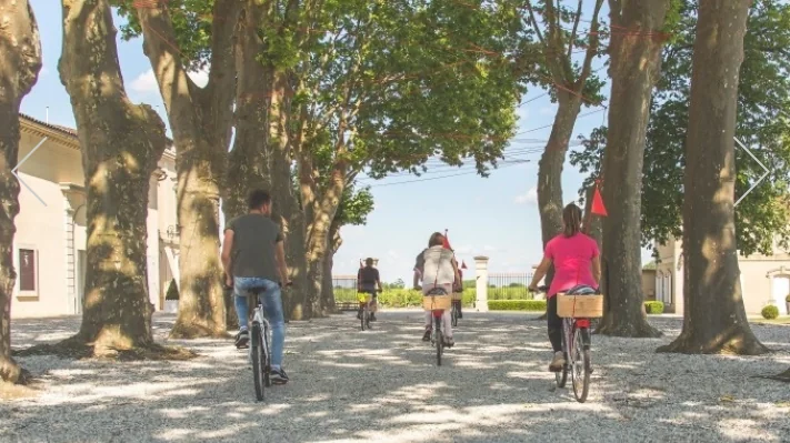 Balade ampélographique à vélo
