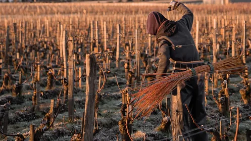 Secrets d&rsquo;un terroir