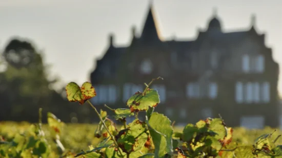 Voyage au cœur du Château Lascombes