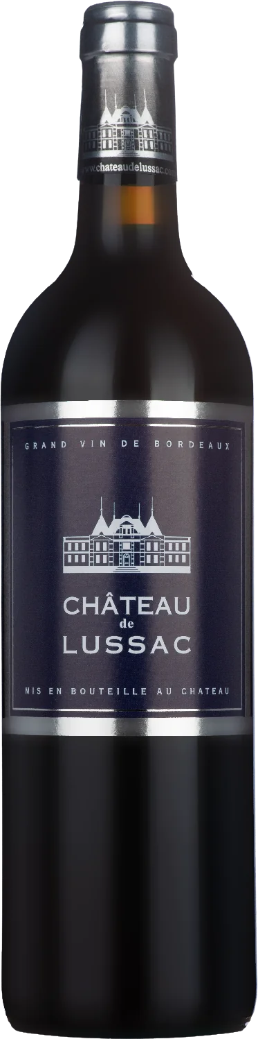 Château de Lussac