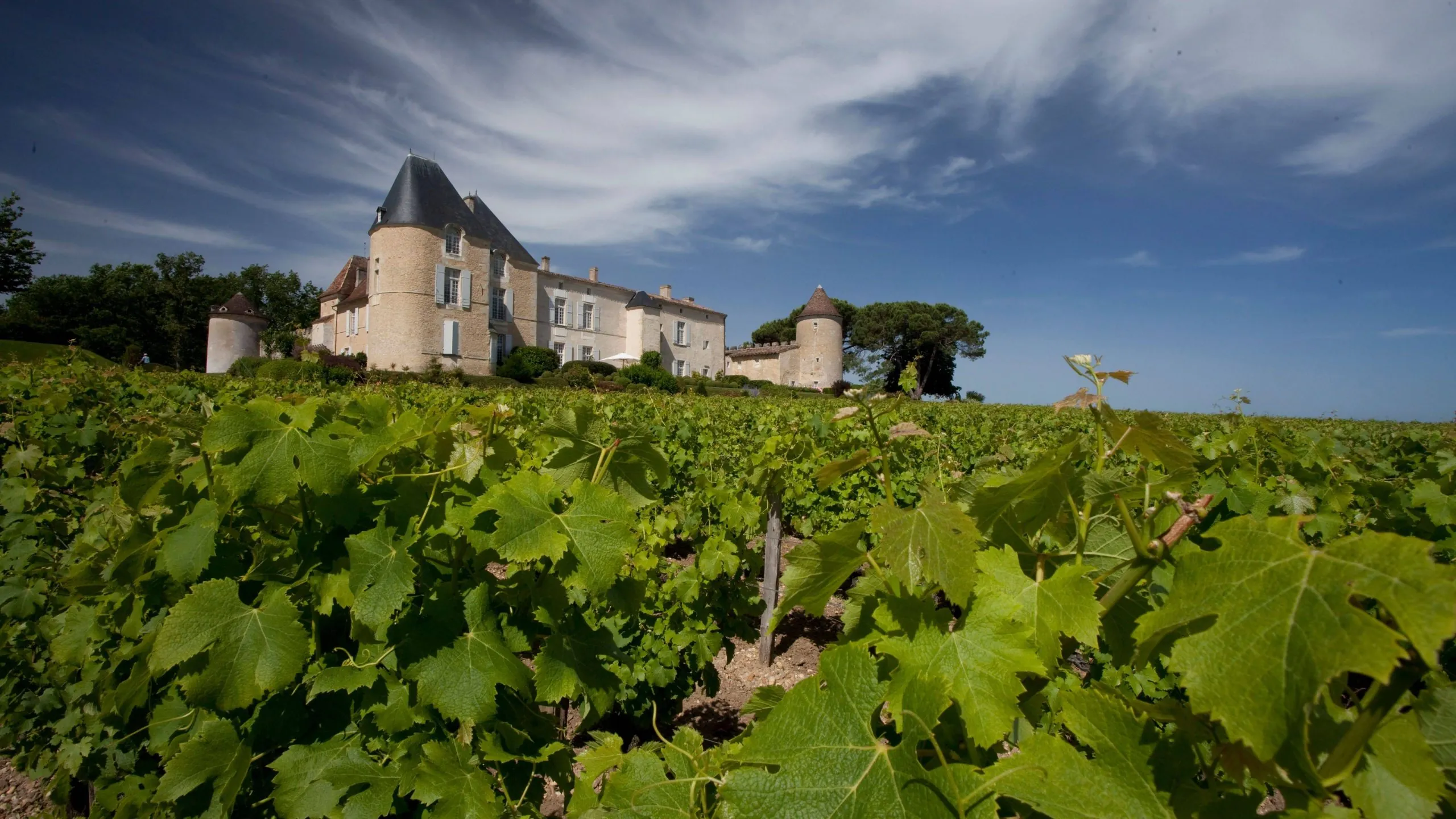 Château d&rsquo;Yquem