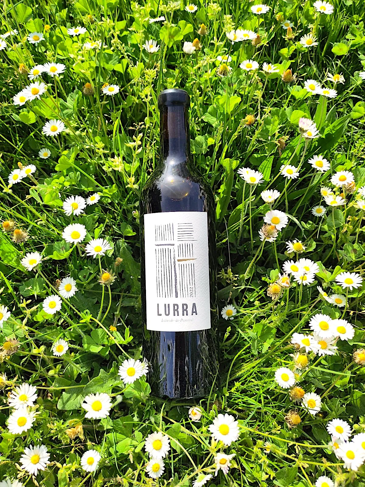 Lurra