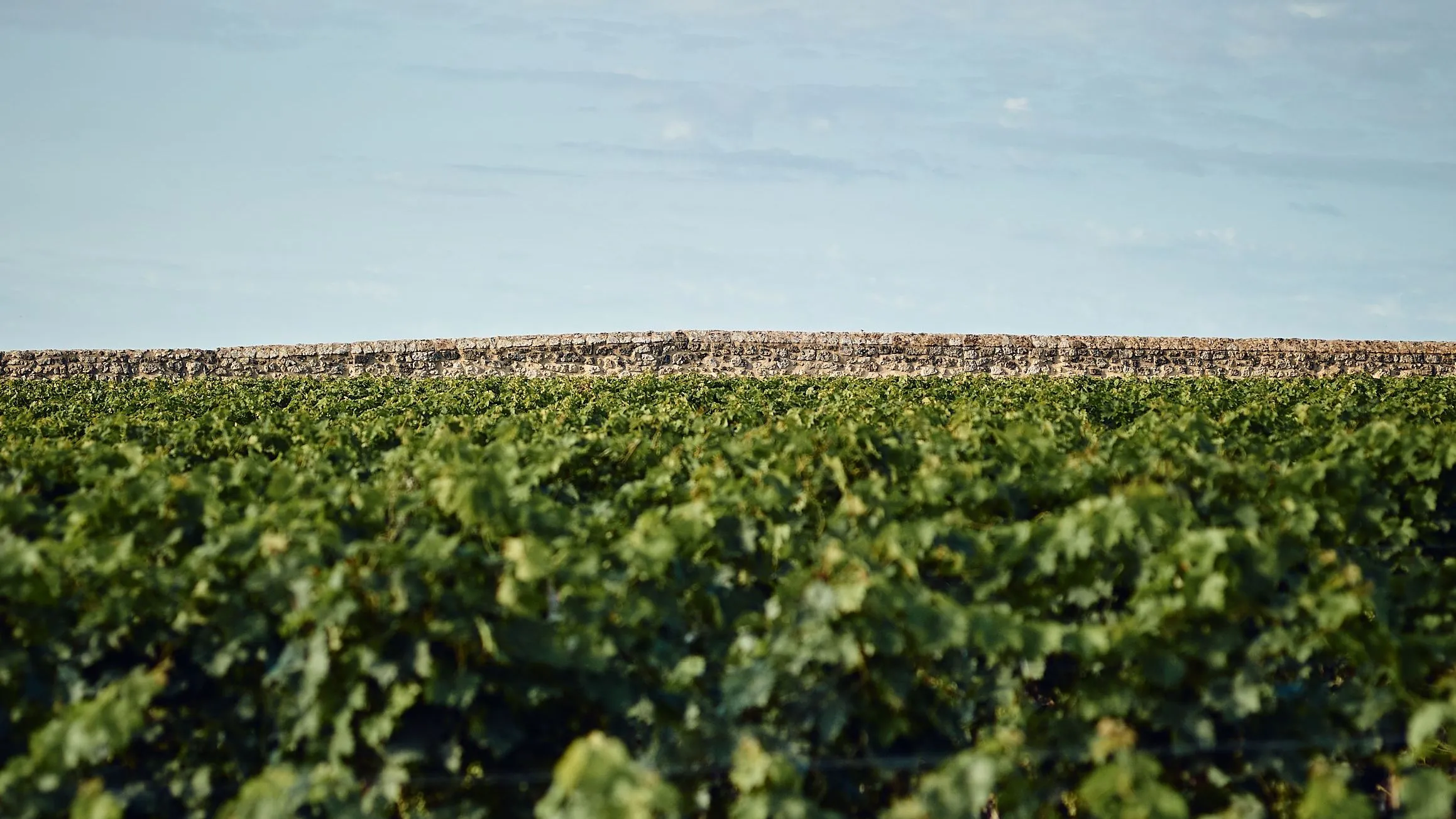 Clos du Marquis