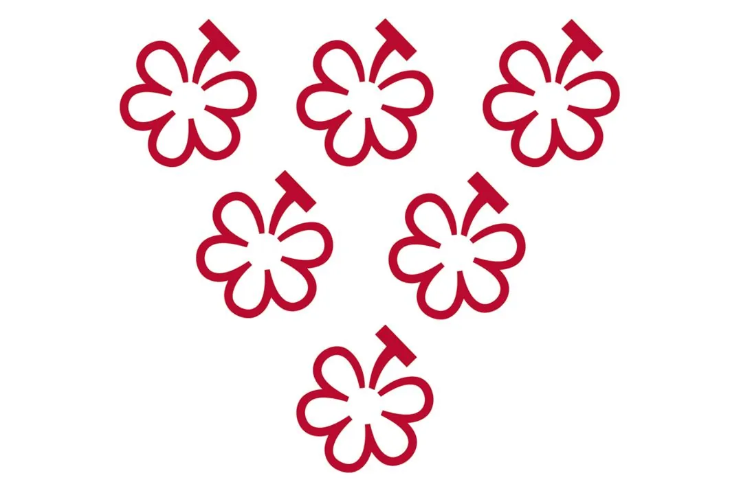 Les grappes Michelin